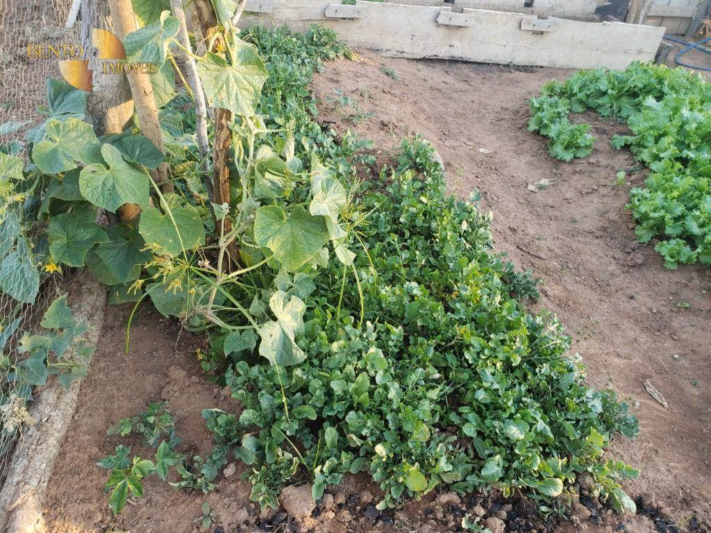 Fazenda de 1.475 ha em Nobres, MT