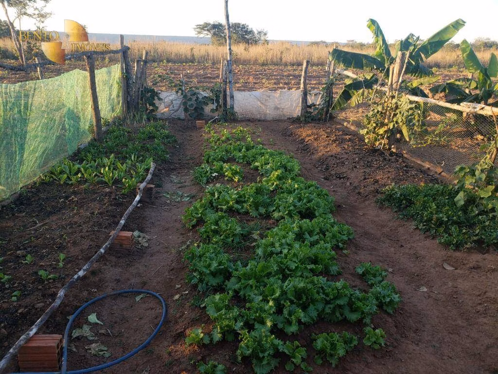 Fazenda de 1.475 ha em Nobres, MT