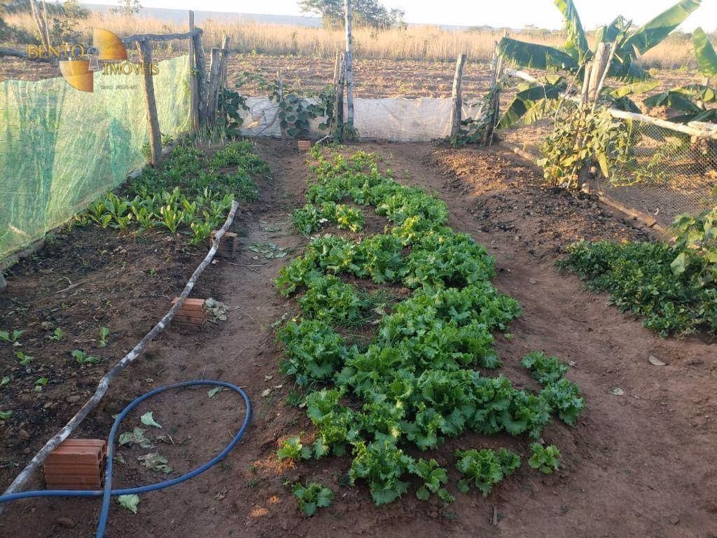 Farm of 3.645 acres in Nobres, MT, Brazil