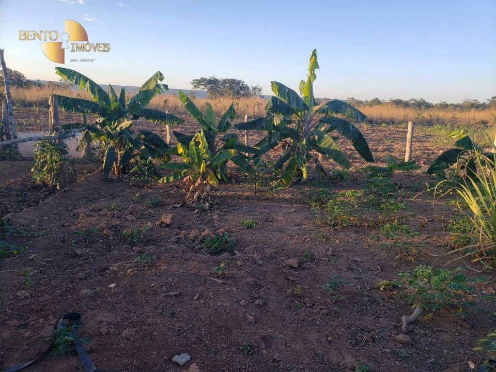 Fazenda de 1.475 ha em Nobres, MT