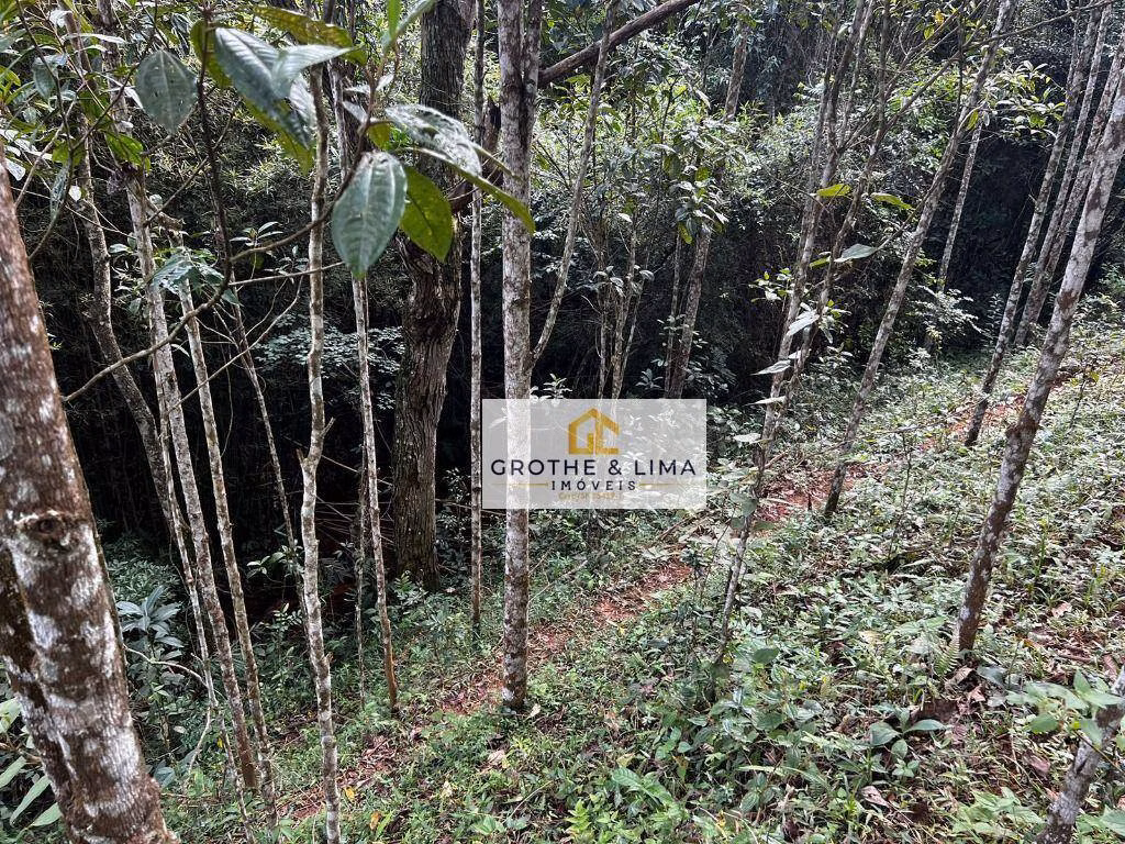 Terreno de 2 ha em Jambeiro, SP