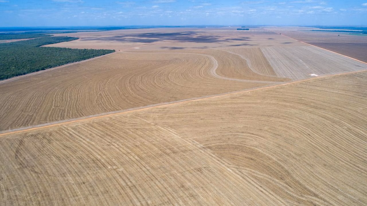 Fazenda de 5.000 ha em Nova Maringá, MT