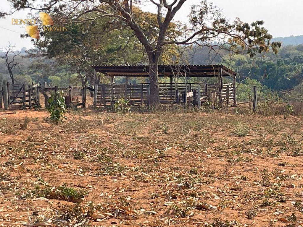Farm of 608 acres in General Carneiro, MT, Brazil