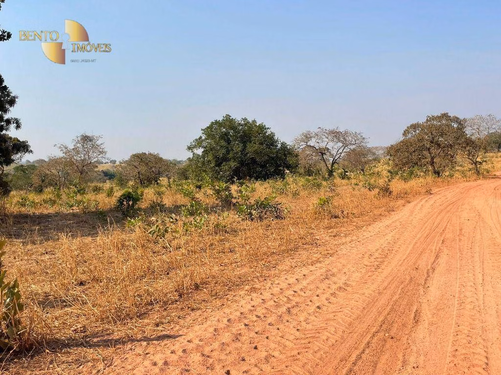 Farm of 608 acres in General Carneiro, MT, Brazil