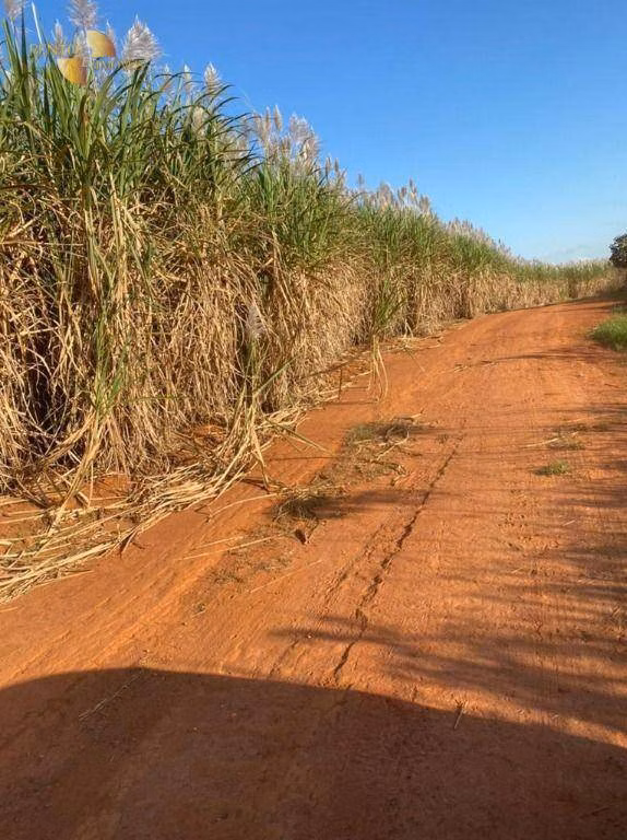 Fazenda de 1.726 ha em Diamantino, MT
