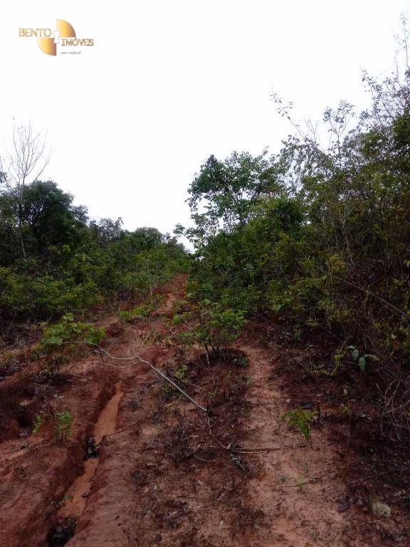 Fazenda de 1.726 ha em Diamantino, MT