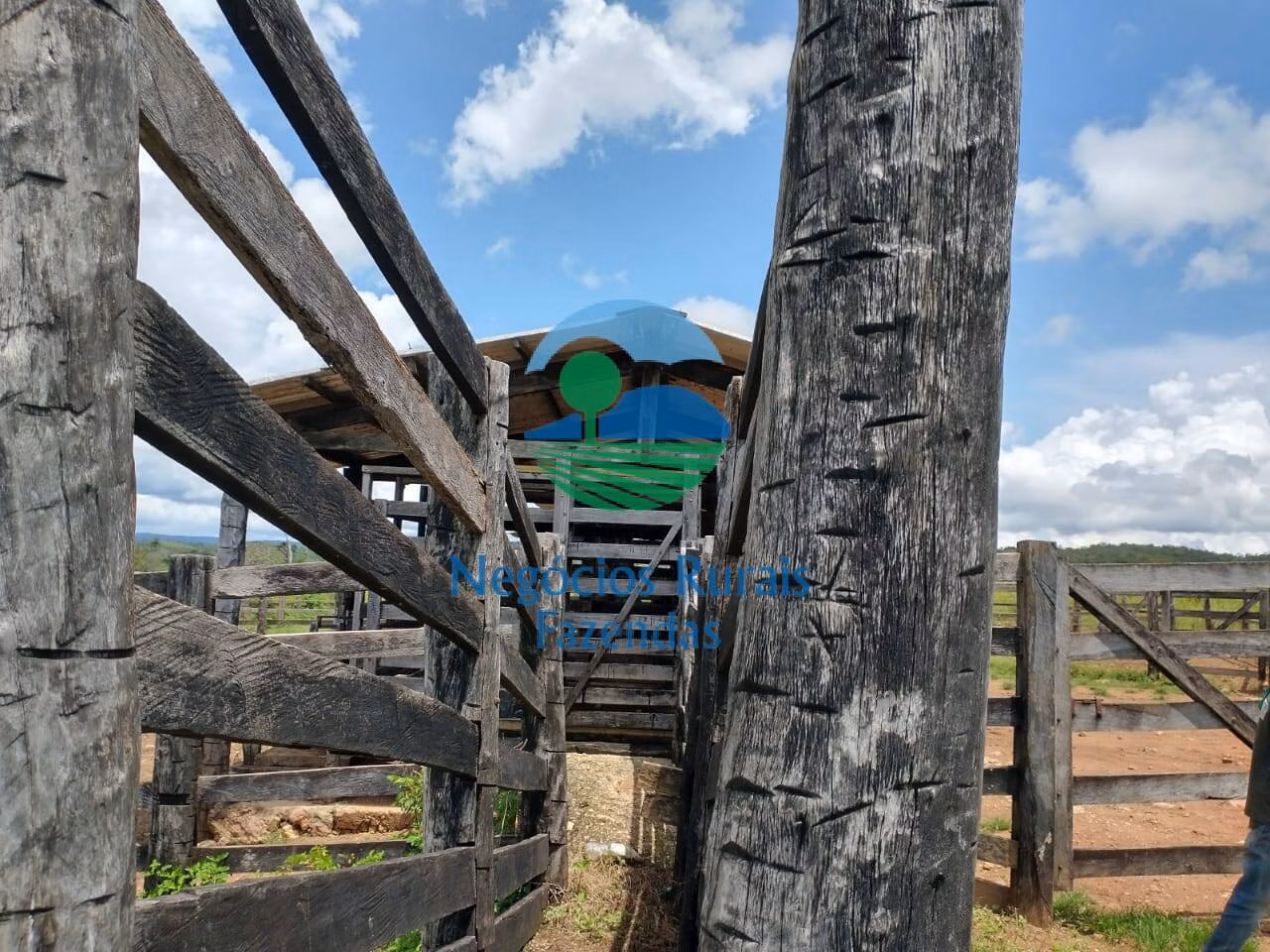 Fazenda de 968 ha em Silvanópolis, TO