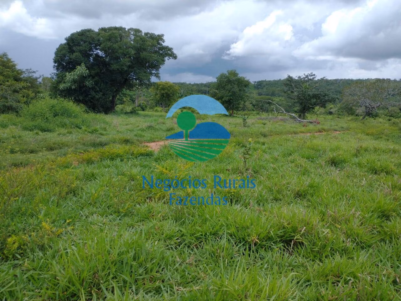Fazenda de 968 ha em Silvanópolis, TO
