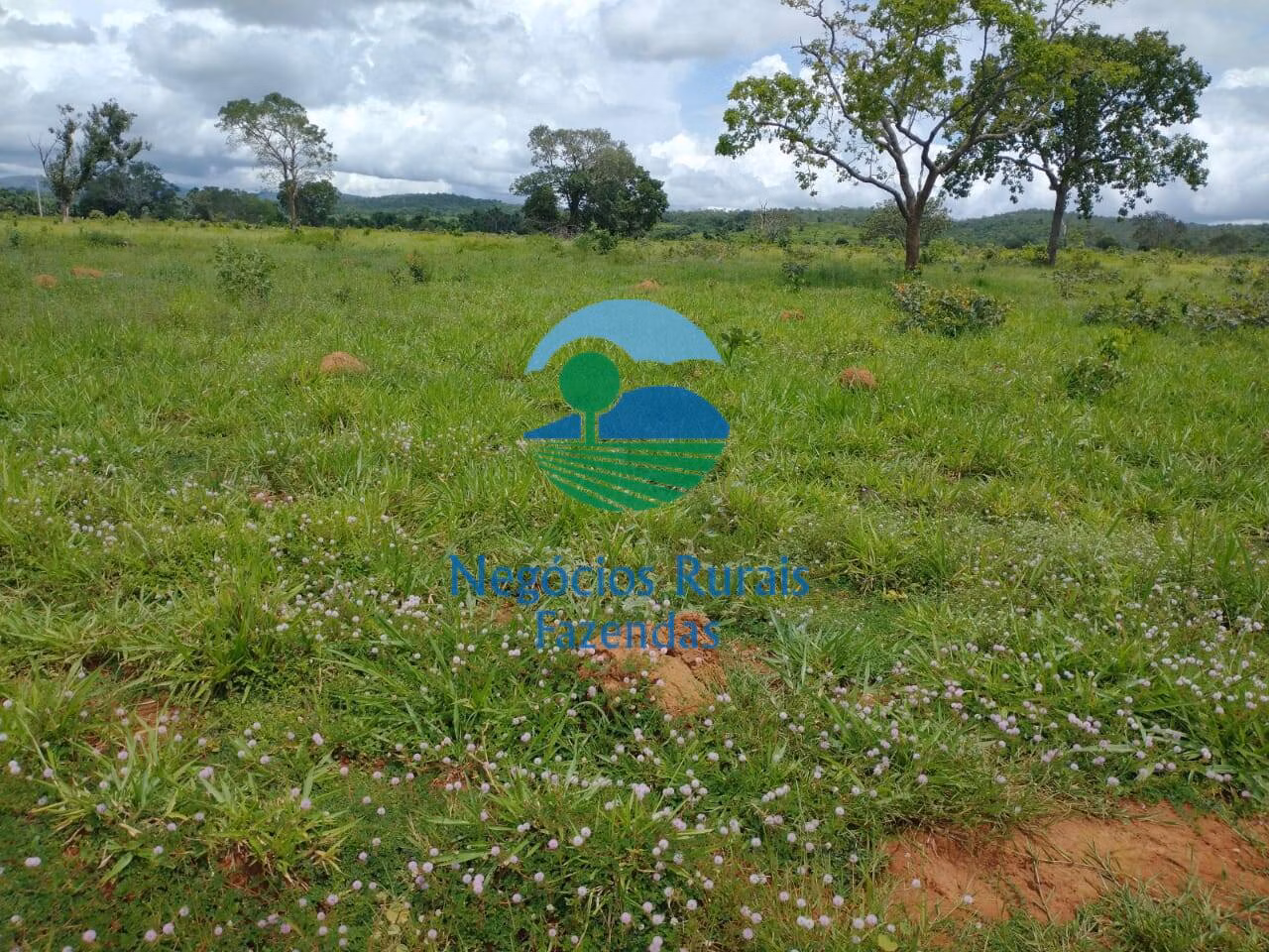 Fazenda de 968 ha em Silvanópolis, TO