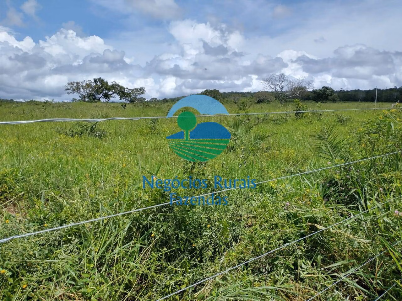 Fazenda de 968 ha em Silvanópolis, TO