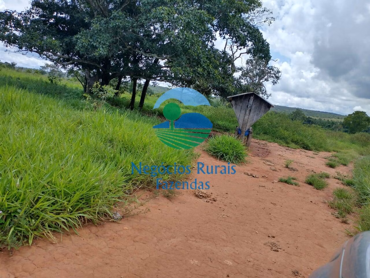 Fazenda de 968 ha em Silvanópolis, TO