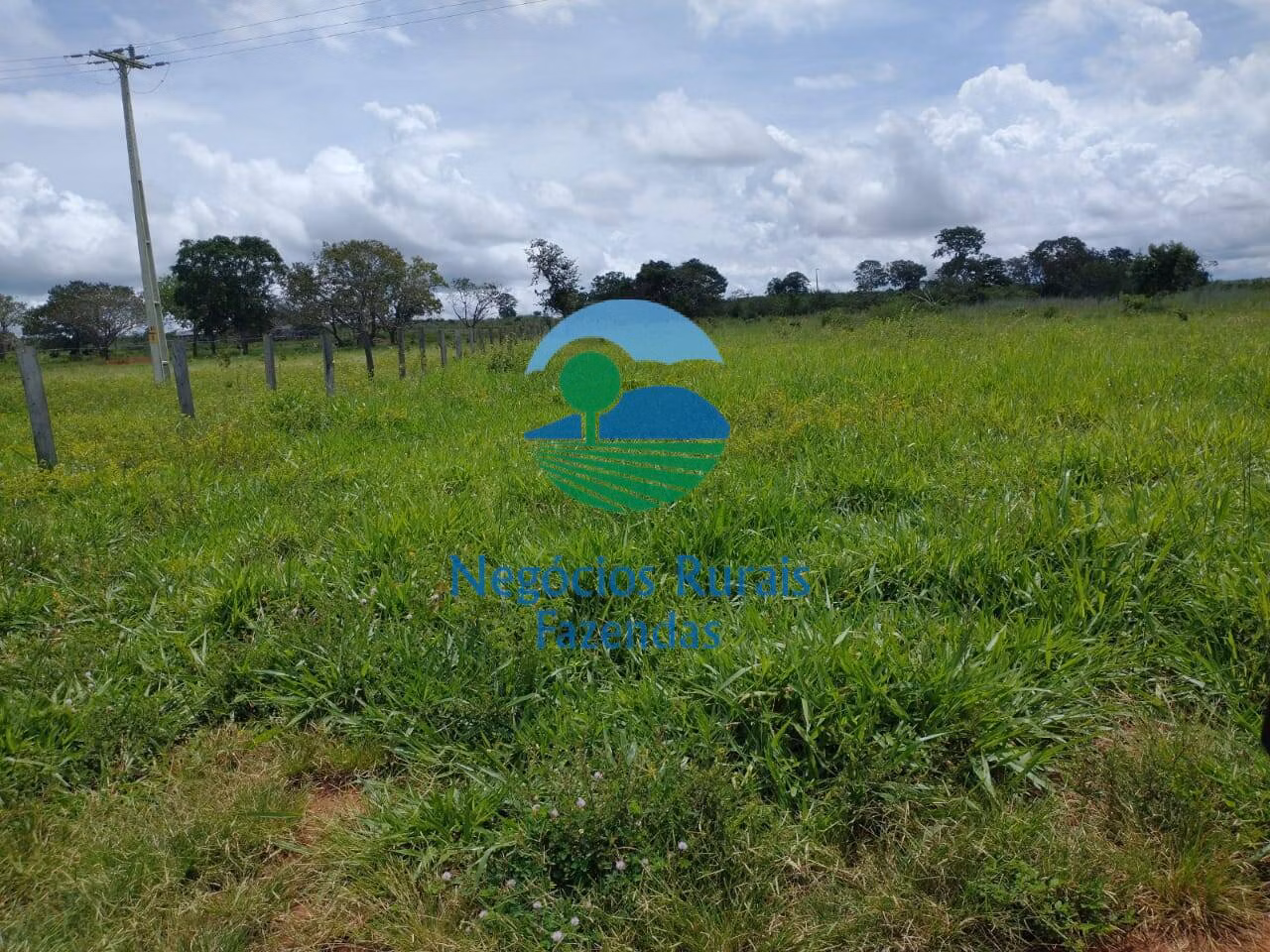 Fazenda de 968 ha em Silvanópolis, TO