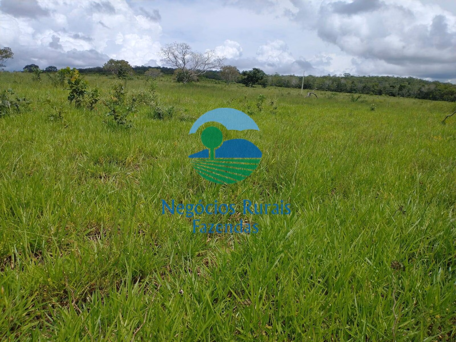 Fazenda de 968 ha em Silvanópolis, TO