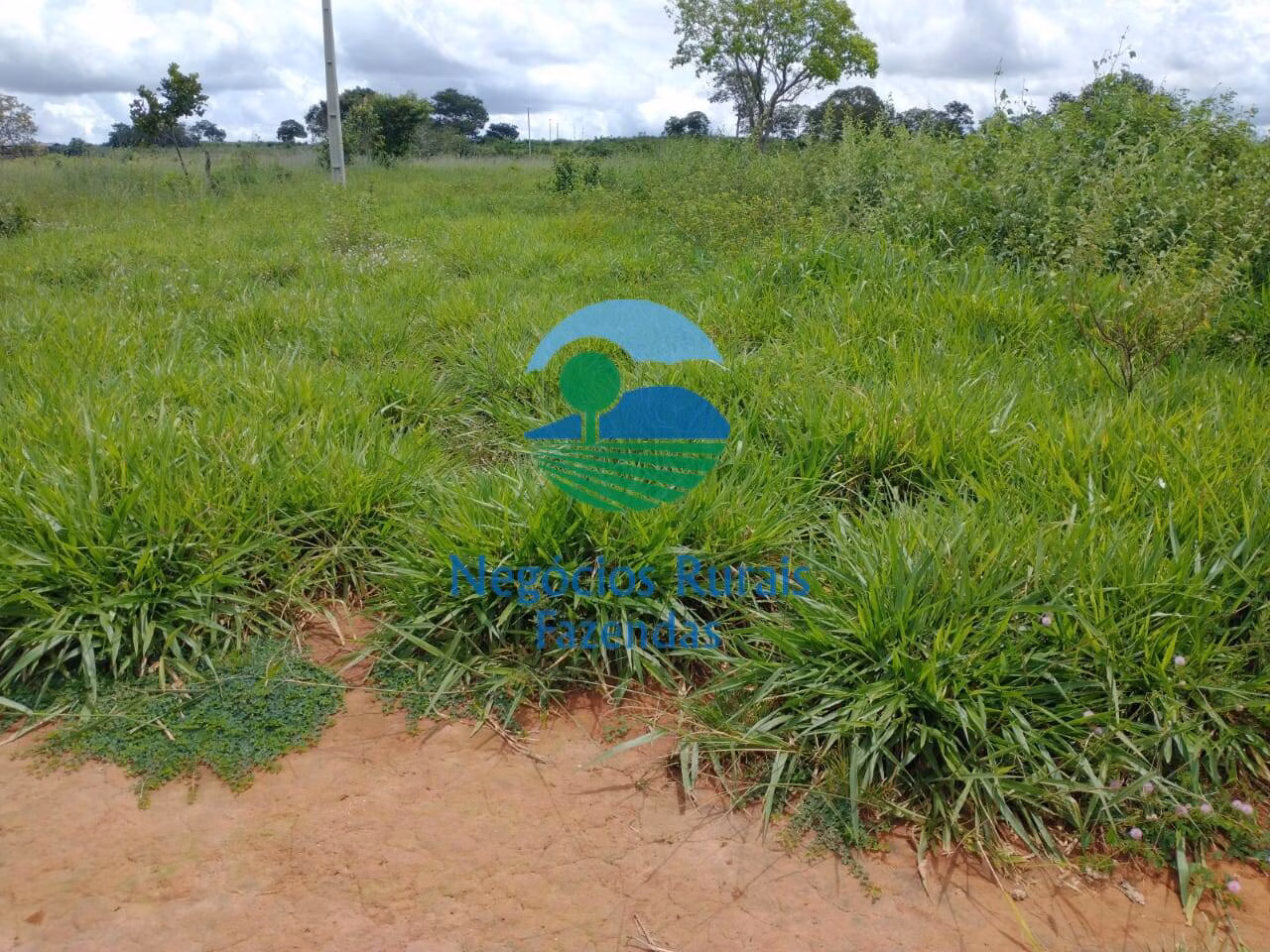 Fazenda de 968 ha em Silvanópolis, TO