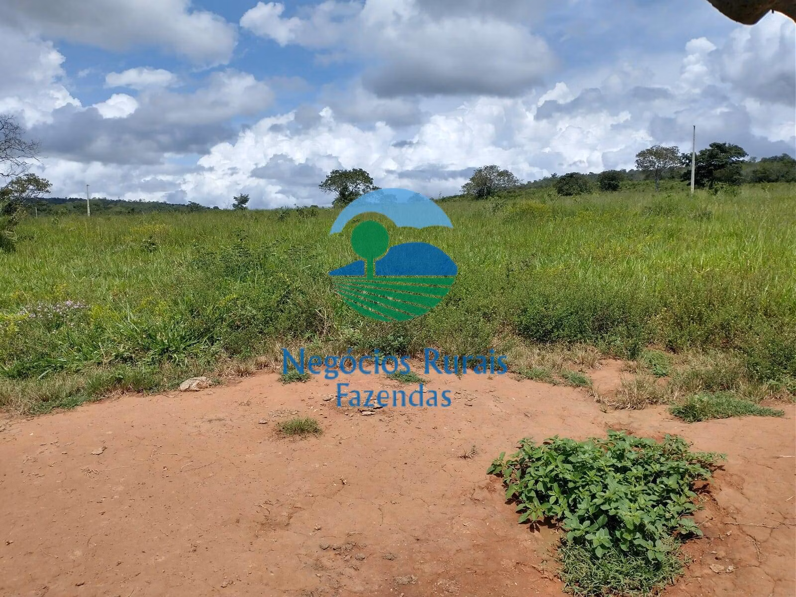Fazenda de 968 ha em Silvanópolis, TO