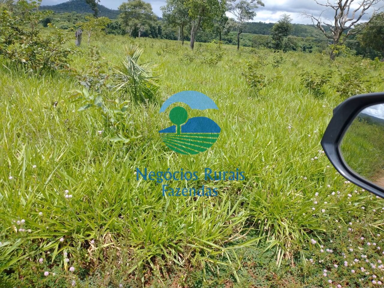 Fazenda de 968 ha em Silvanópolis, TO