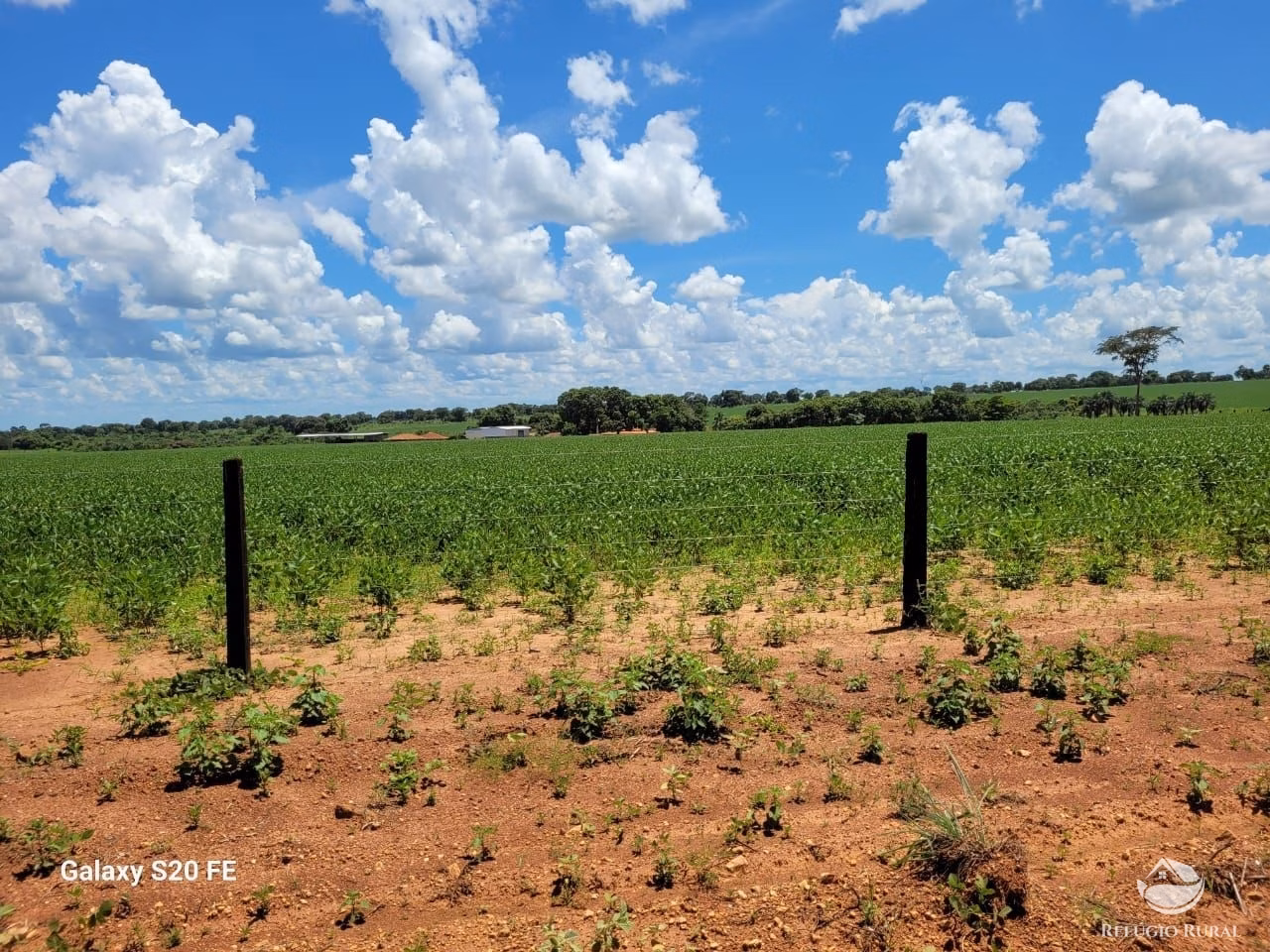 Fazenda de 977 ha em Nova Crixás, GO