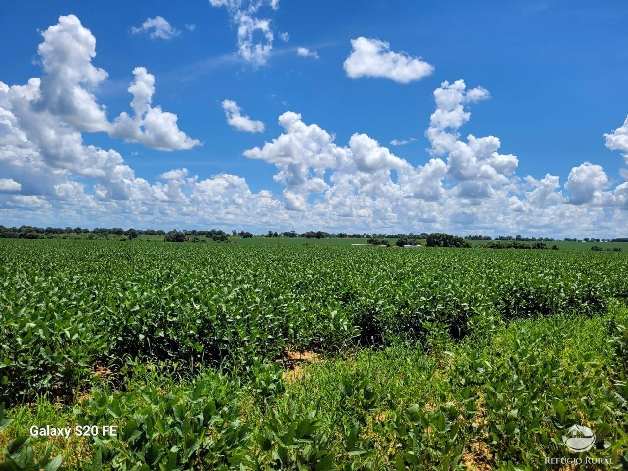 Farm of 2.414 acres in Nova Crixás, GO, Brazil