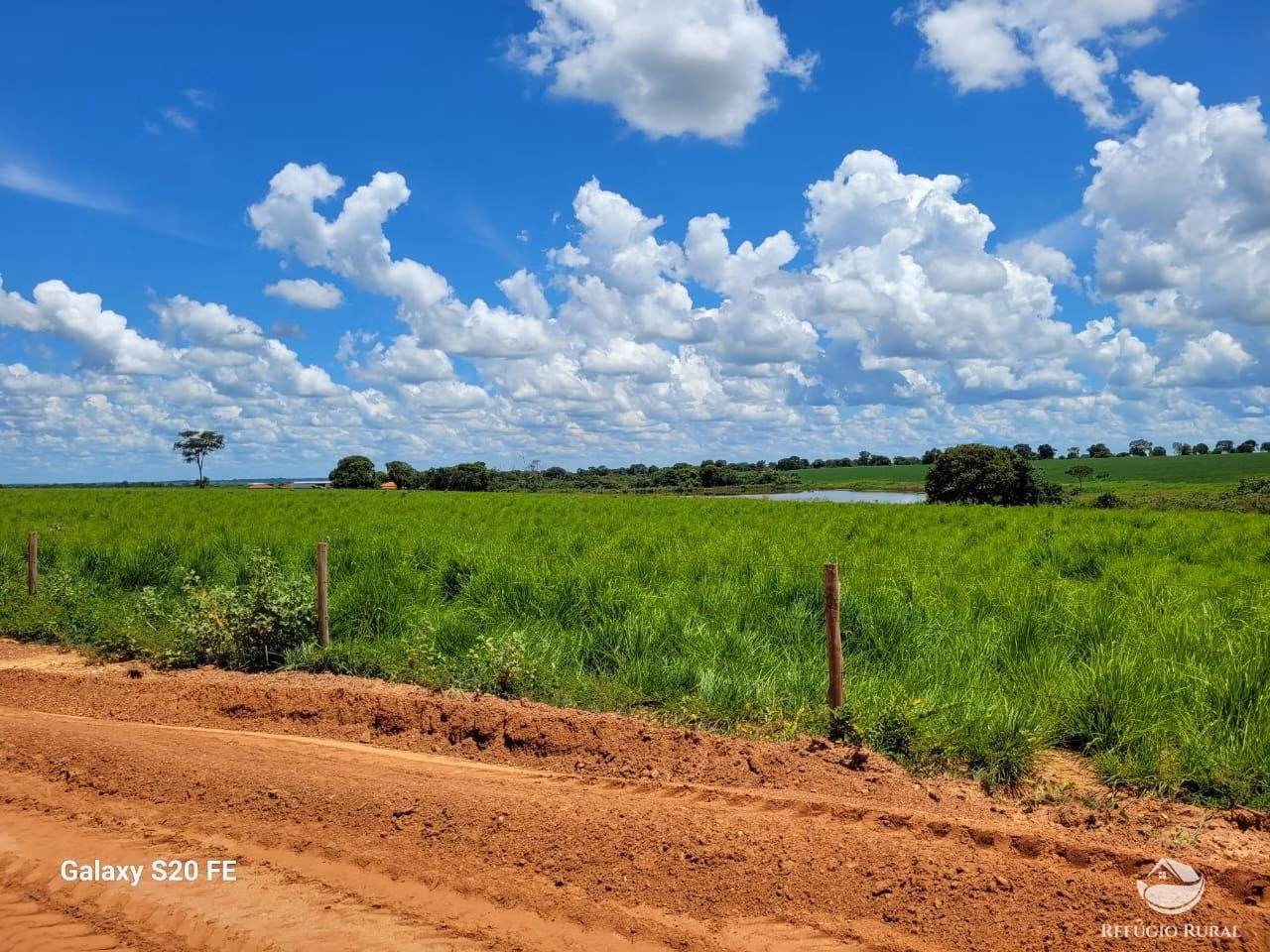 Fazenda de 977 ha em Nova Crixás, GO