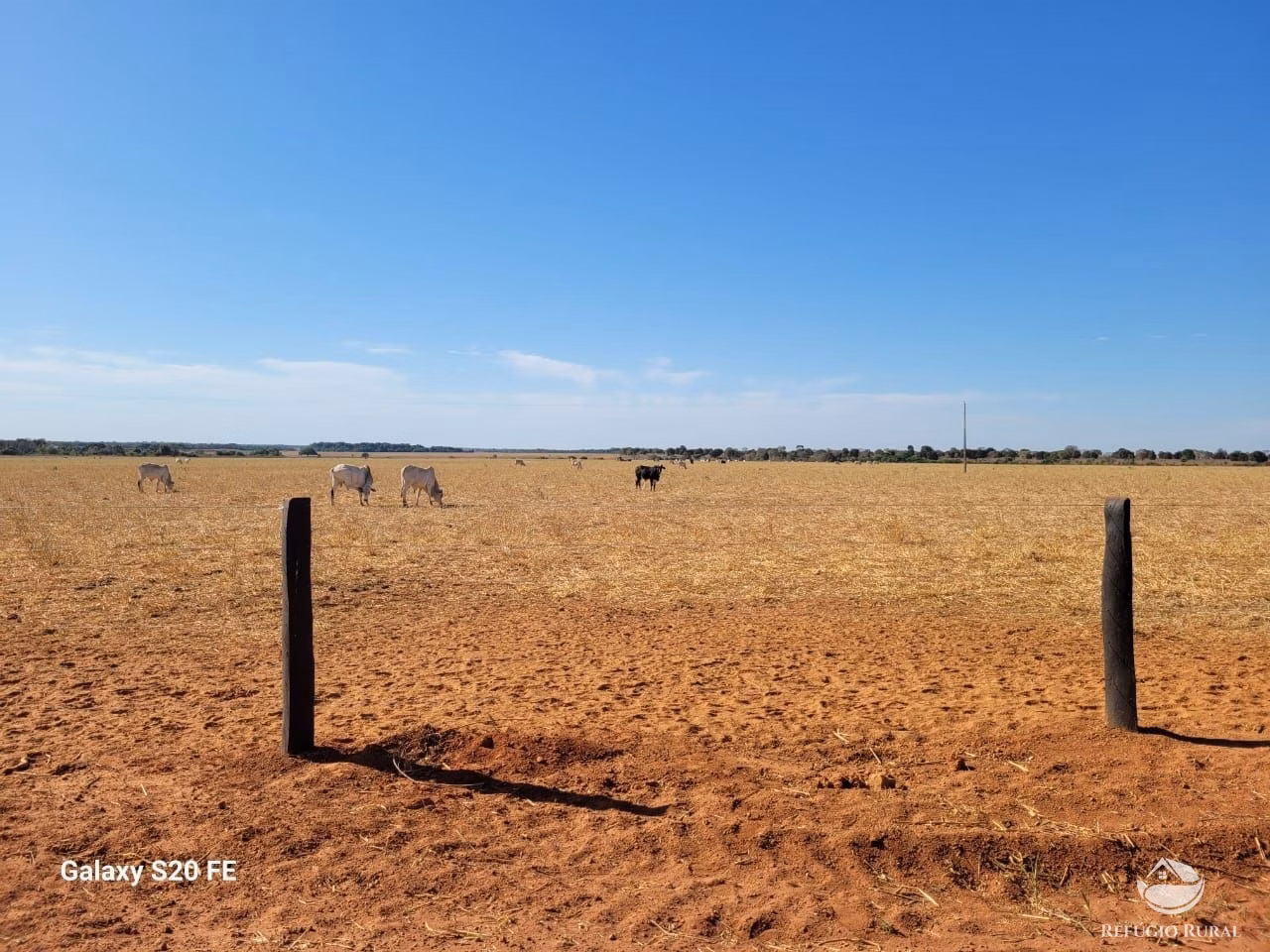 Fazenda de 977 ha em Nova Crixás, GO