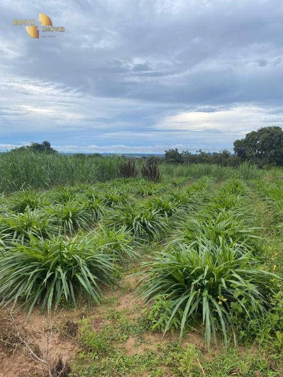 Fazenda de 5.000 ha em Paranatinga, MT