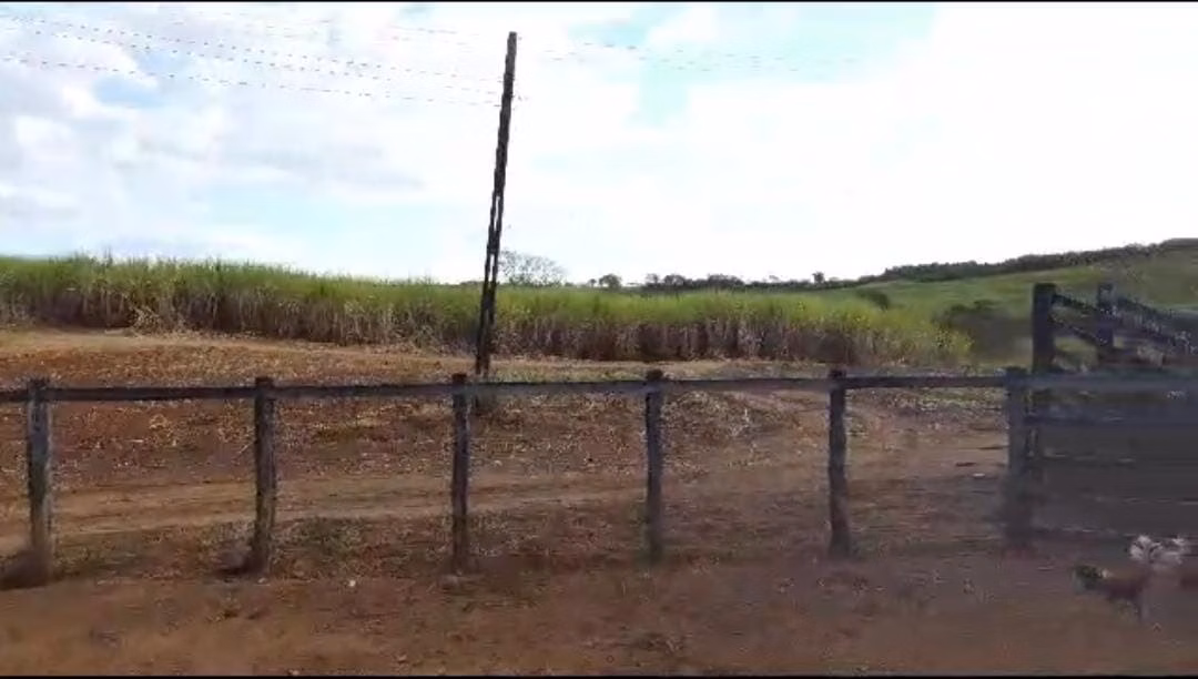 Fazenda de 215 ha em Ribeirão Preto, SP