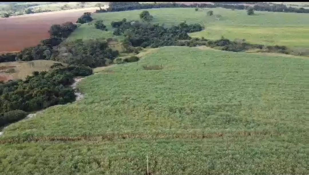 Fazenda de 215 ha em Ribeirão Preto, SP