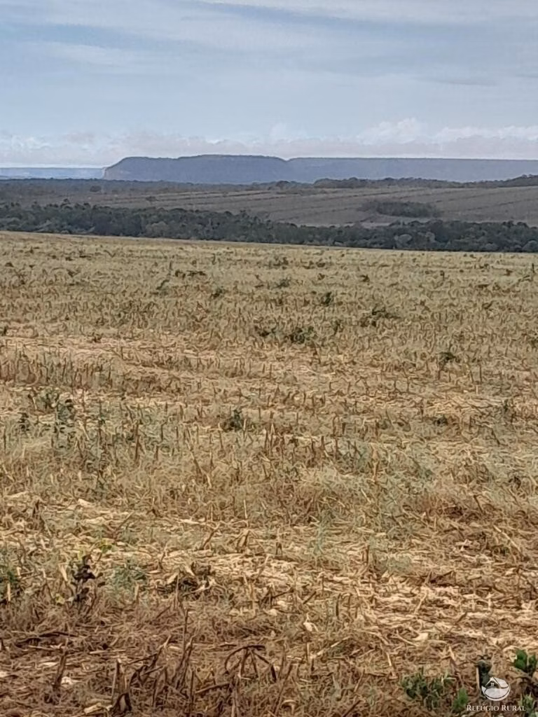 Farm of 13.838 acres in Tasso Fragoso, MA, Brazil