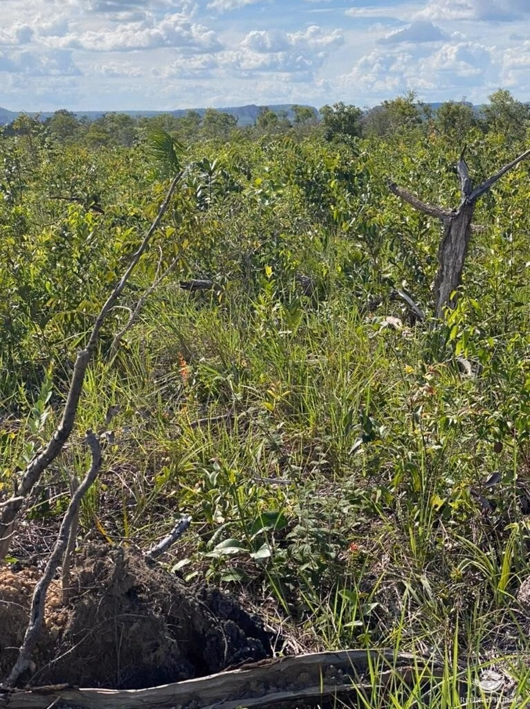Fazenda de 5.600 ha em Tasso Fragoso, MA