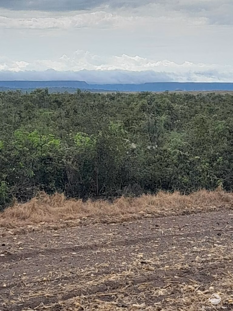 Fazenda de 5.600 ha em Tasso Fragoso, MA