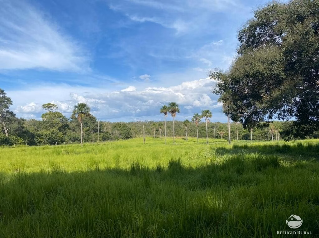 Fazenda de 5.600 ha em Tasso Fragoso, MA