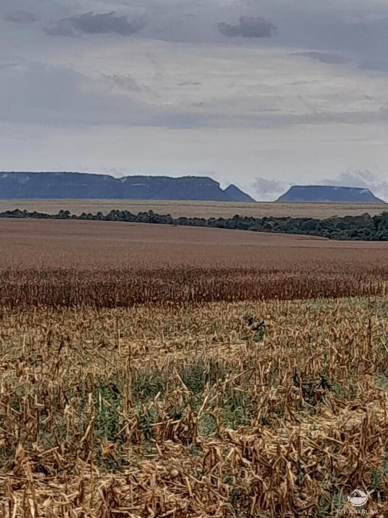 Fazenda de 5.600 ha em Tasso Fragoso, MA