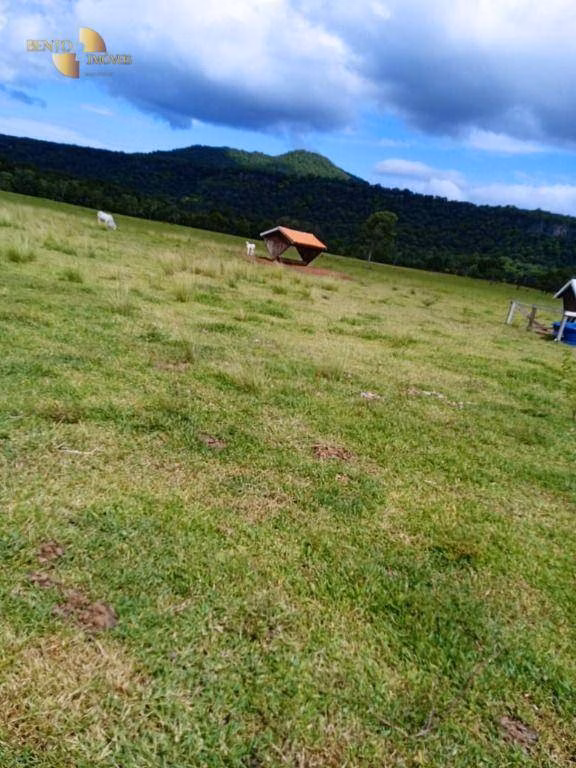 Fazenda de 1.800 ha em Cáceres, MT