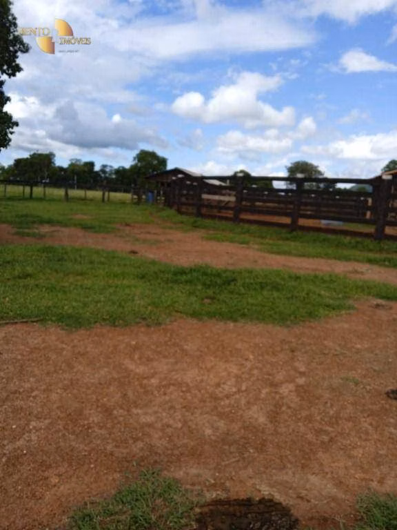 Fazenda de 1.800 ha em Cáceres, MT