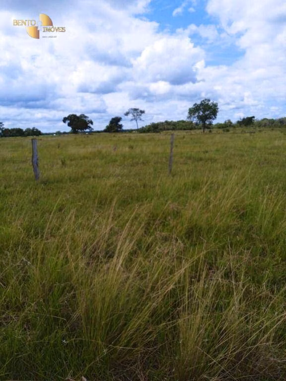 Fazenda de 1.800 ha em Cáceres, MT