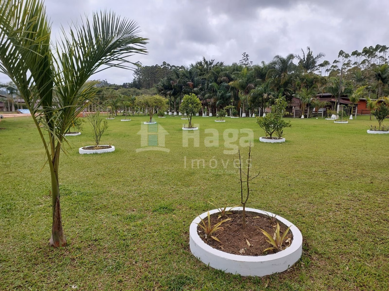 Fazenda de 1 ha em Balneário Piçarras, SC