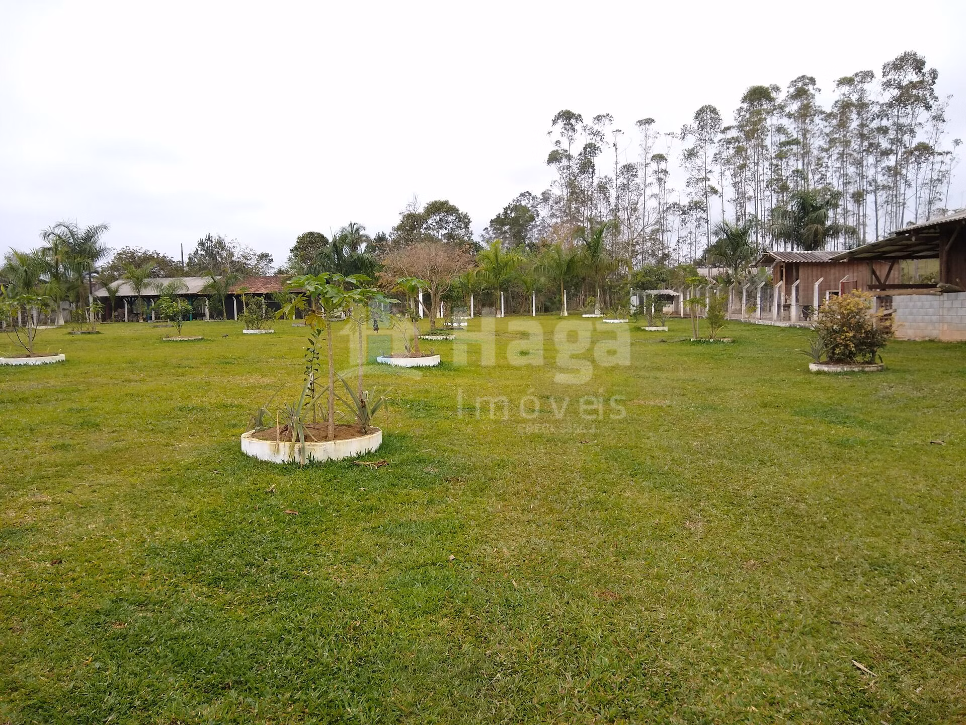 Fazenda de 1 ha em Balneário Piçarras, SC