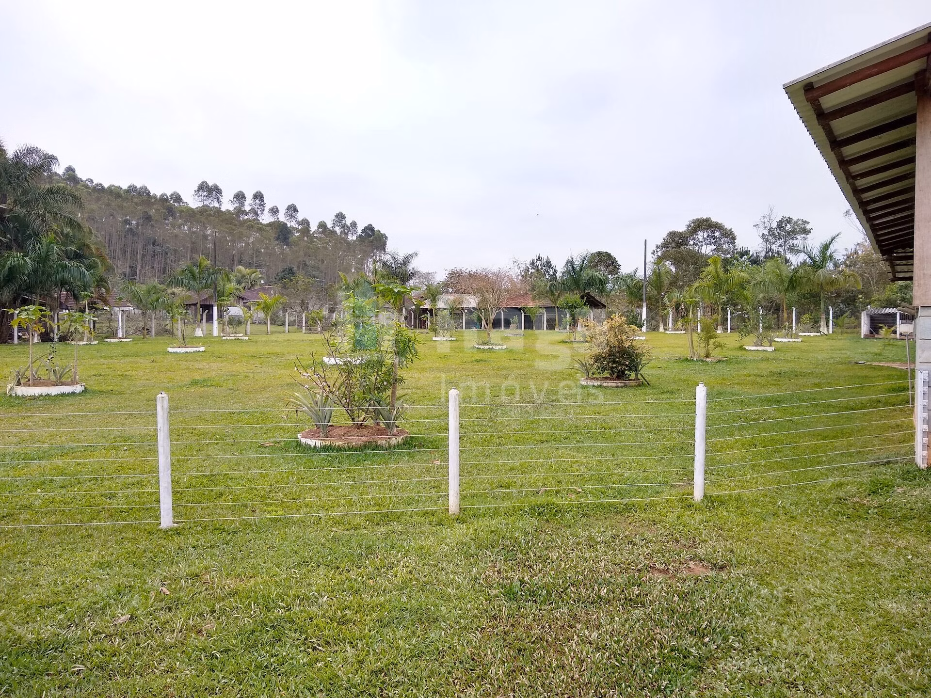 Fazenda de 1 ha em Balneário Piçarras, SC