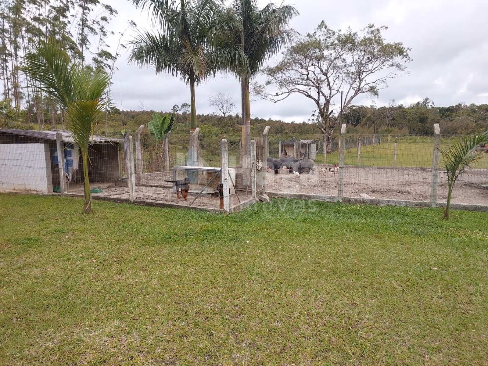 Fazenda de 1 ha em Balneário Piçarras, SC