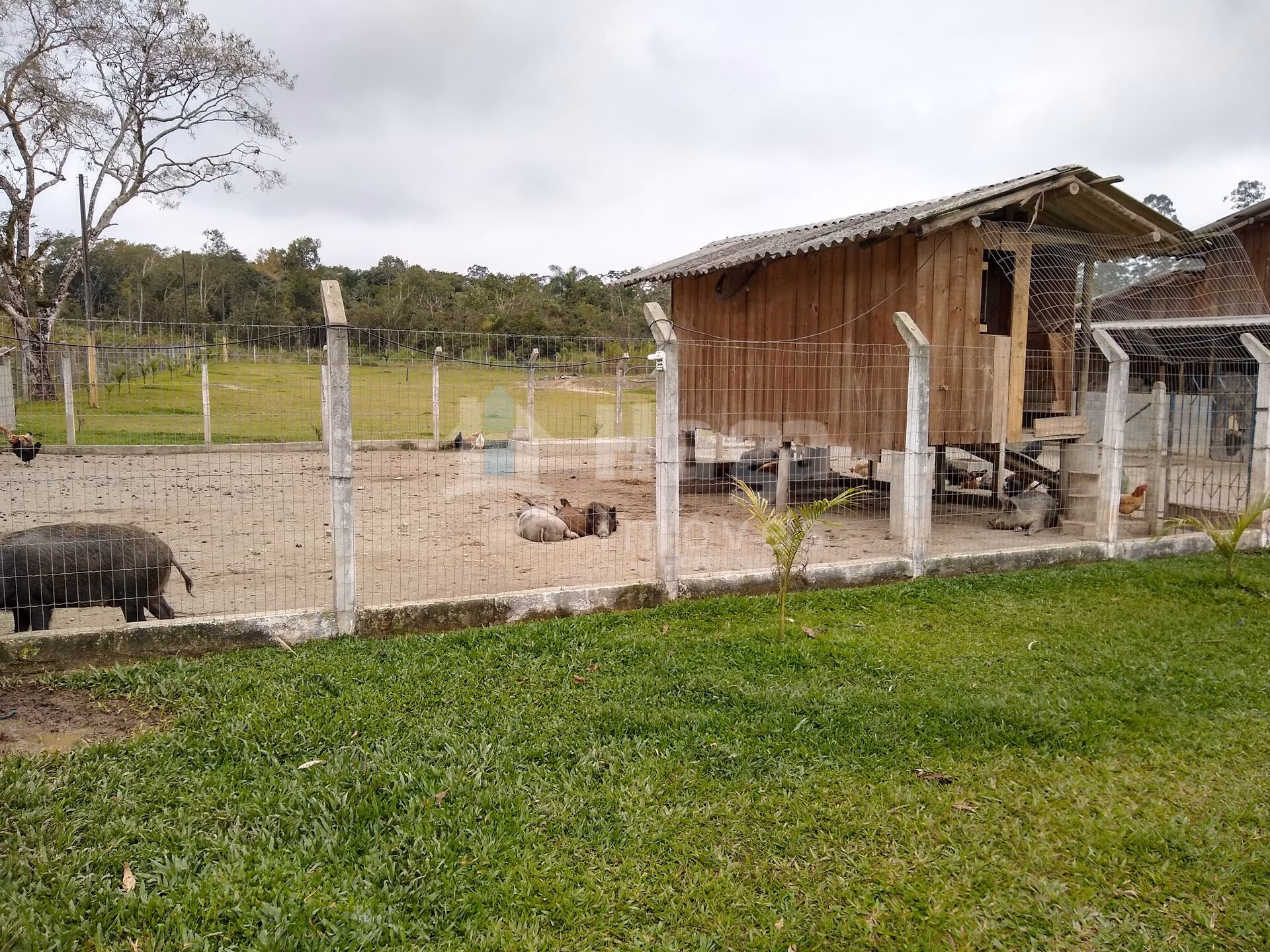 Fazenda de 1 ha em Balneário Piçarras, SC