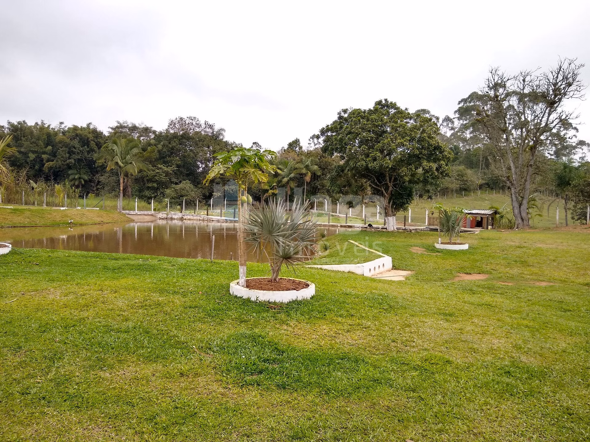 Fazenda de 1 ha em Balneário Piçarras, SC