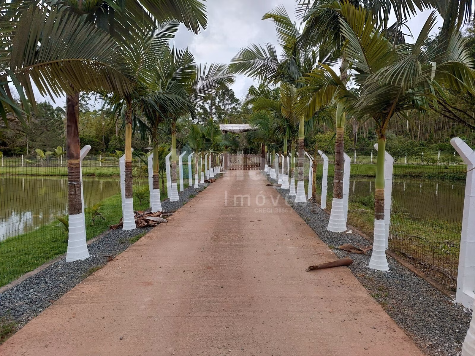Fazenda de 1 ha em Balneário Piçarras, SC