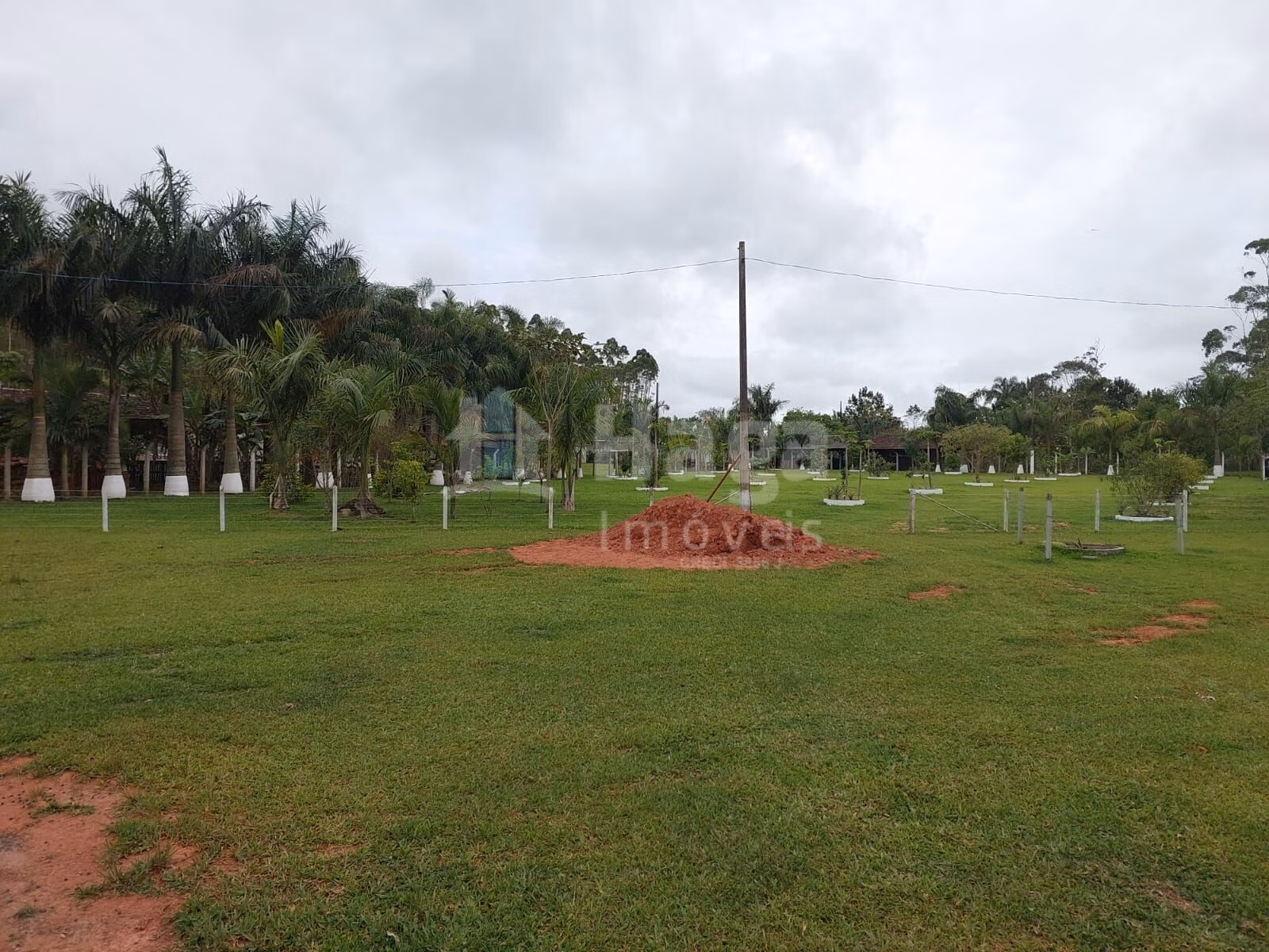 Fazenda de 1 ha em Balneário Piçarras, SC
