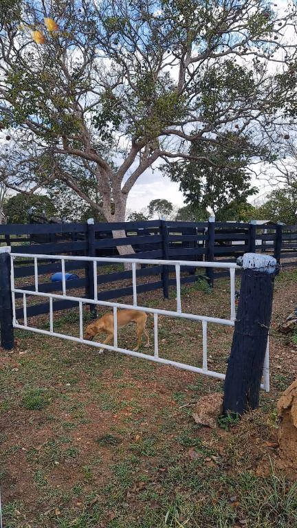 Sítio de 35 ha em Nossa Senhora do Livramento, MT