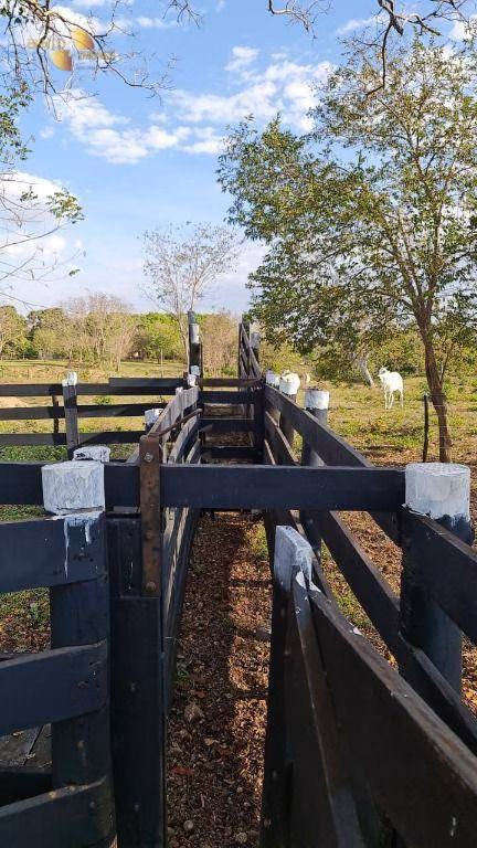 Sítio de 35 ha em Nossa Senhora do Livramento, MT