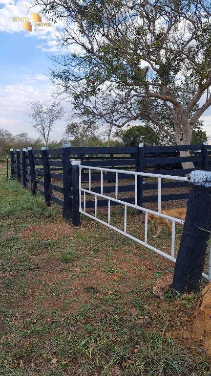 Sítio de 35 ha em Nossa Senhora do Livramento, MT