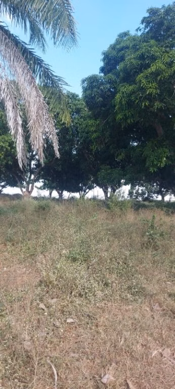 Farm of 2.076 acres in Rosário Oeste, MT, Brazil