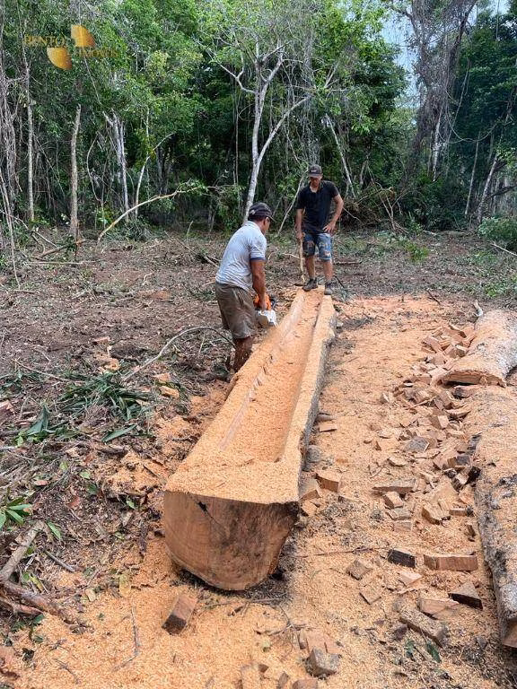 Farm of 10.131 acres in Cuiabá, MT, Brazil