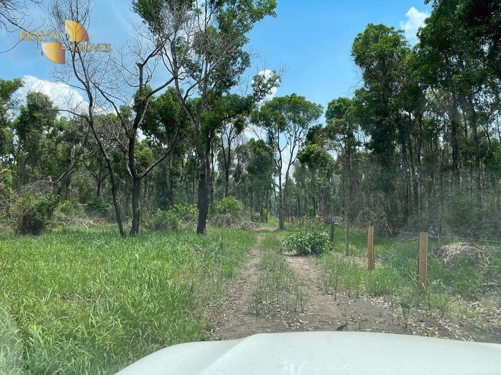 Fazenda de 4.100 ha em Cuiabá, MT
