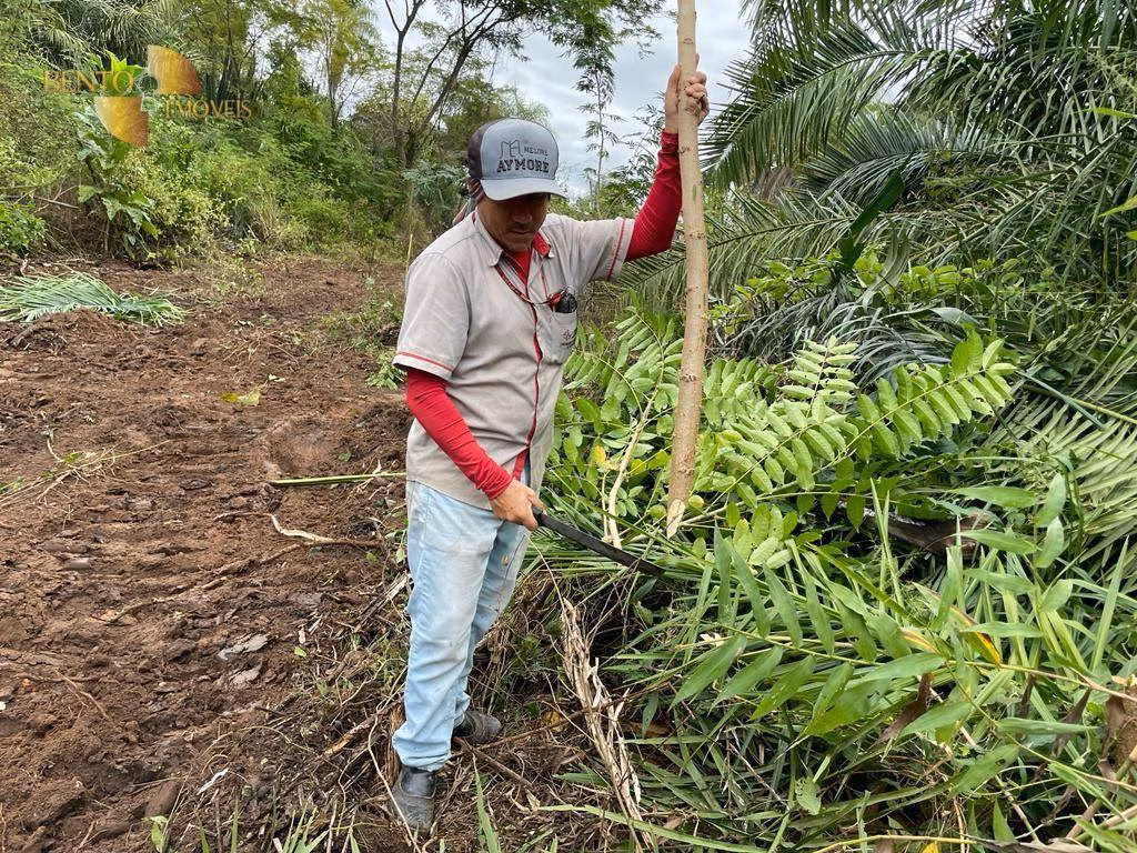 Fazenda de 4.100 ha em Cuiabá, MT